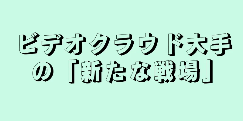 ビデオクラウド大手の「新たな戦場」