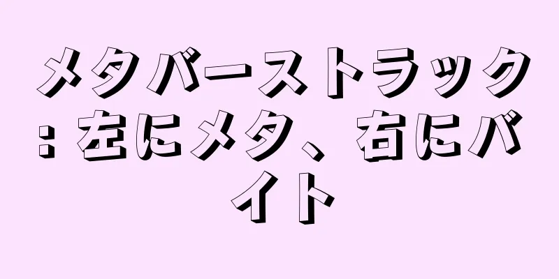 メタバーストラック: 左にメタ、右にバイト