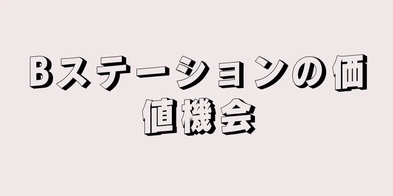 Bステーションの価値機会
