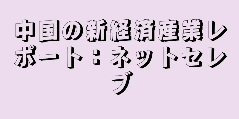 中国の新経済産業レポート：ネットセレブ