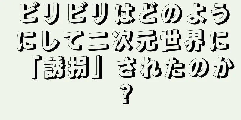 ビリビリはどのようにして二次元世界に「誘拐」されたのか？