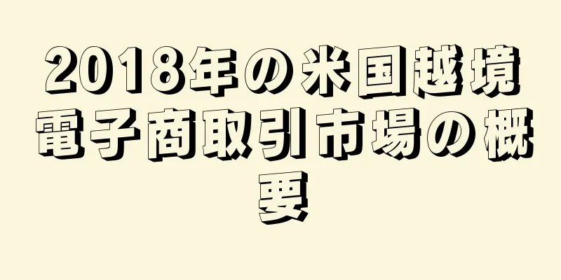 2018年の米国越境電子商取引市場の概要