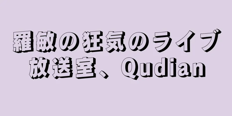 羅敏の狂気のライブ放送室、Qudian
