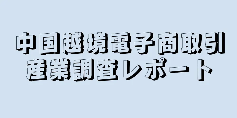 中国越境電子商取引産業調査レポート