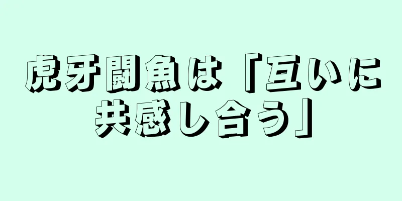 虎牙闘魚は「互いに共感し合う」