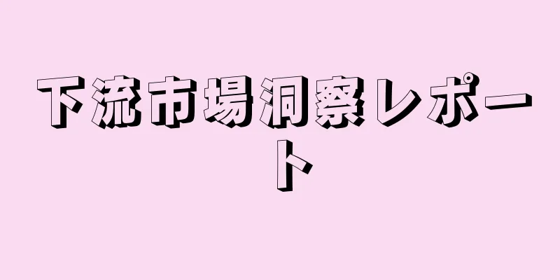 下流市場洞察レポート