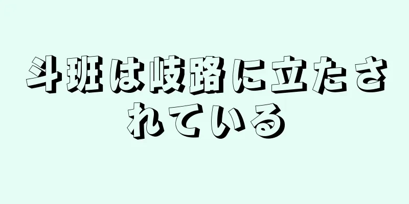 斗班は岐路に立たされている