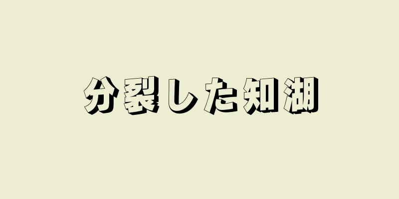 分裂した知湖
