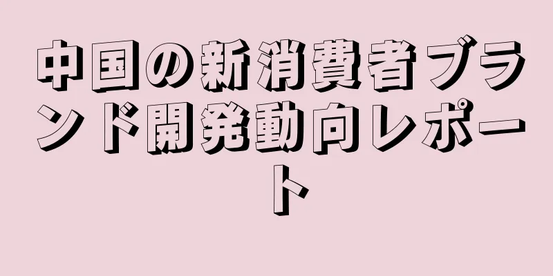中国の新消費者ブランド開発動向レポート