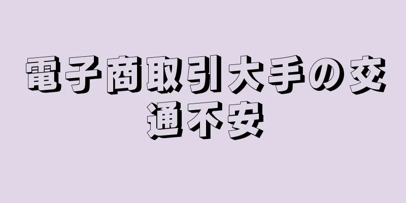 電子商取引大手の交通不安
