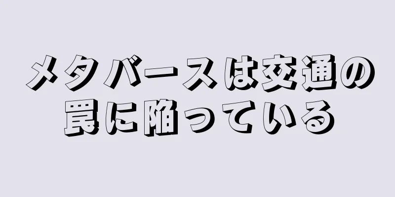 メタバースは交通の罠に陥っている