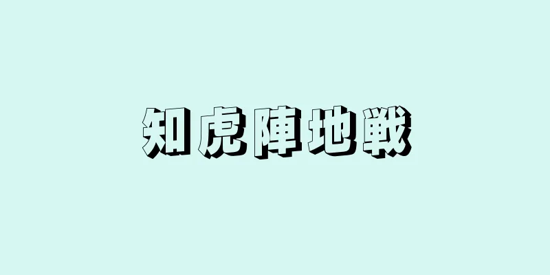 知虎陣地戦