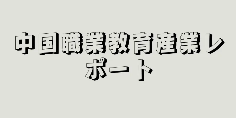中国職業教育産業レポート