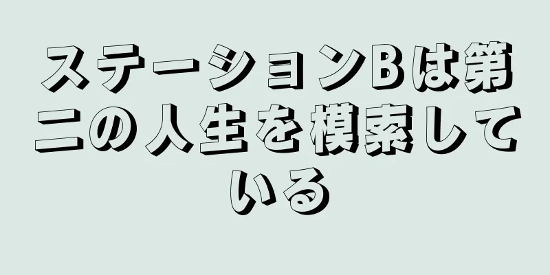 ステーションBは第二の人生を模索している