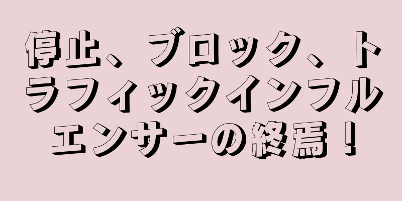 停止、ブロック、トラフィックインフルエンサーの終焉！
