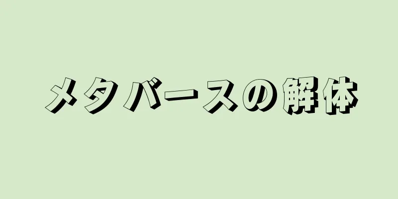 メタバースの解体