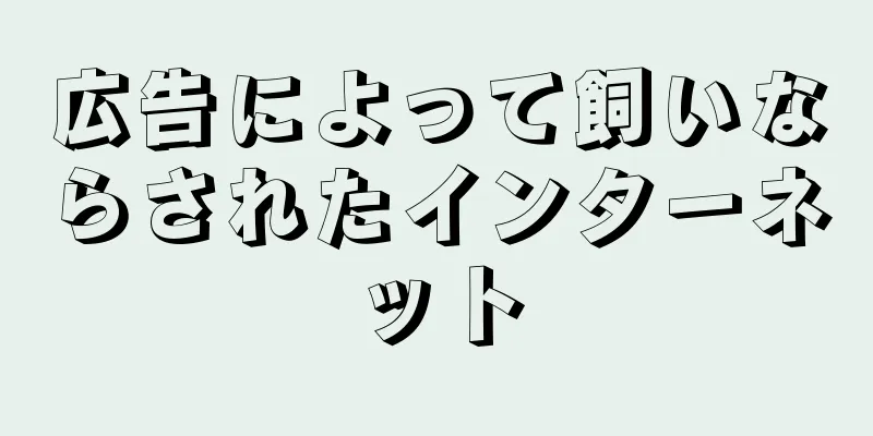 広告によって飼いならされたインターネット