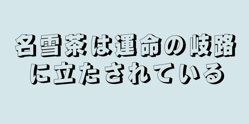名雪茶は運命の岐路に立たされている