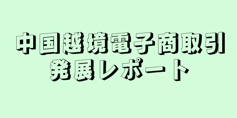 中国越境電子商取引発展レポート