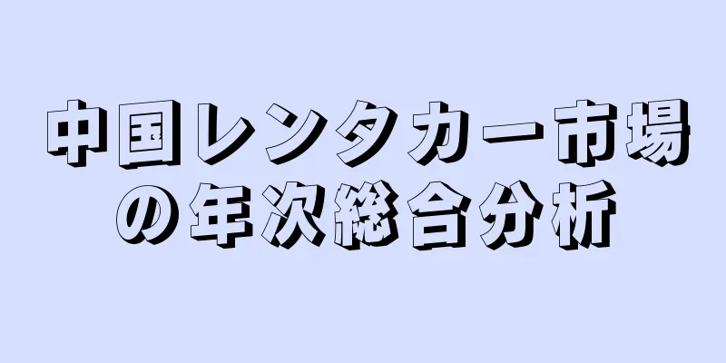 中国レンタカー市場の年次総合分析