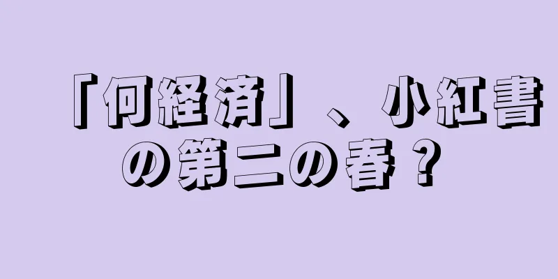 「何経済」、小紅書の第二の春？