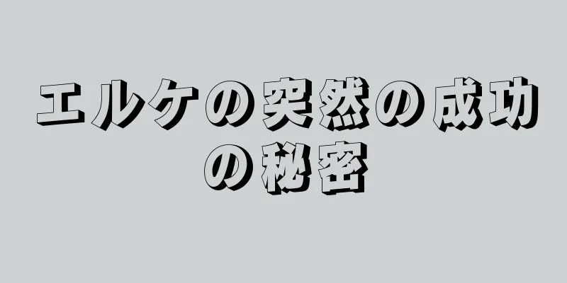 エルケの突然の成功の秘密