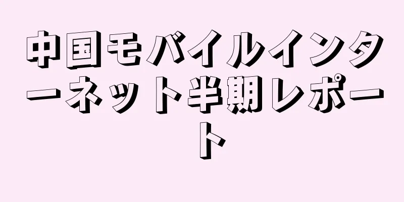 中国モバイルインターネット半期レポート