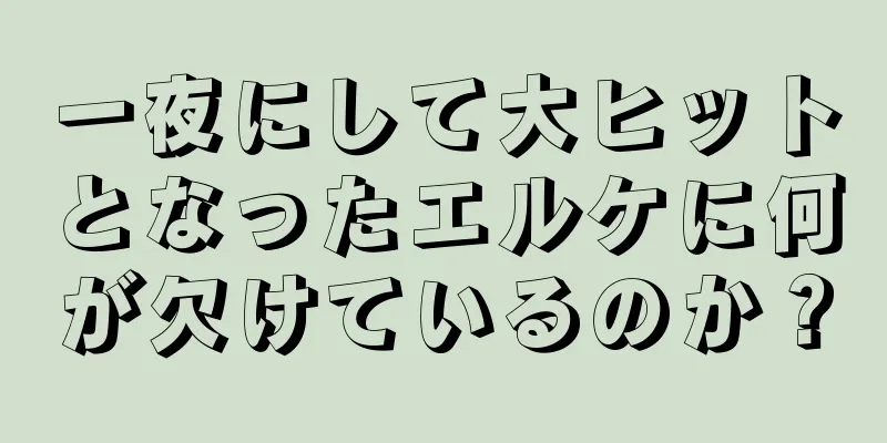 一夜にして大ヒットとなったエルケに何が欠けているのか？