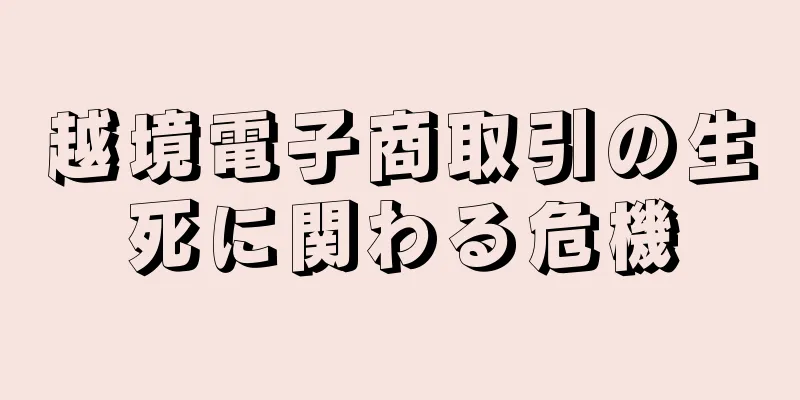 越境電子商取引の生死に関わる危機