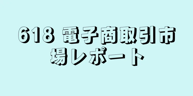 618 電子商取引市場レポート