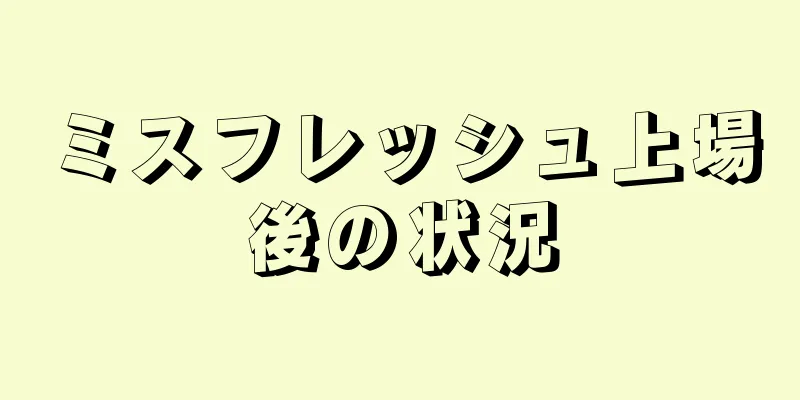 ミスフレッシュ上場後の状況