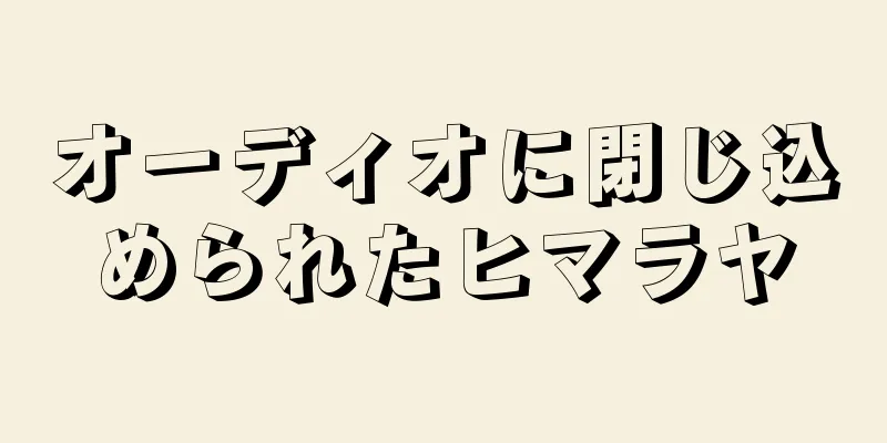 オーディオに閉じ込められたヒマラヤ