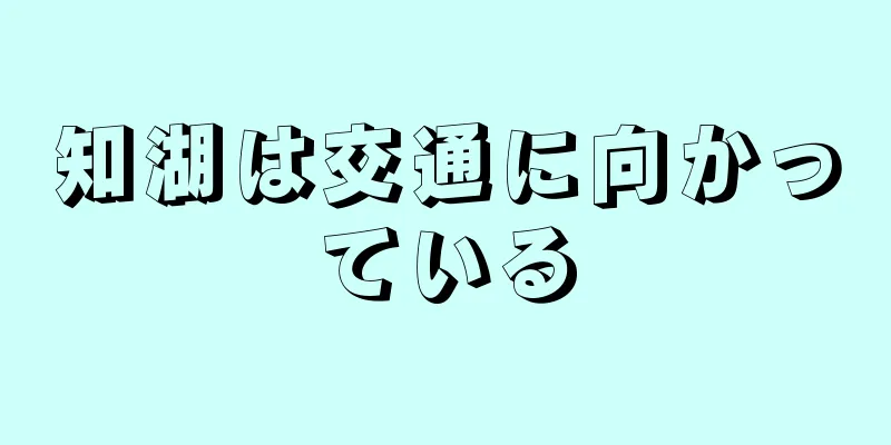 知湖は交通に向かっている