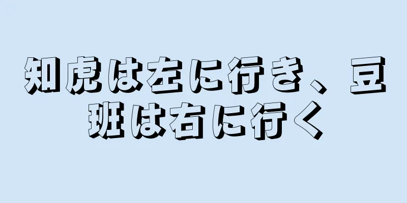 知虎は左に行き、豆班は右に行く