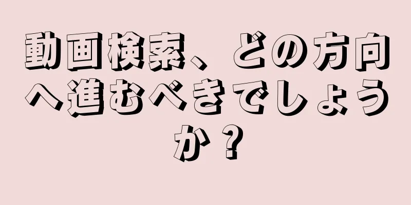 動画検索、どの方向へ進むべきでしょうか？