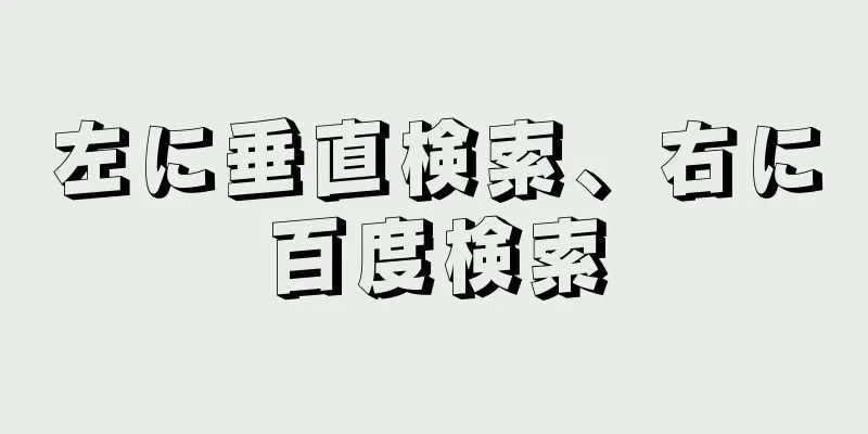 左に垂直検索、右に百度検索