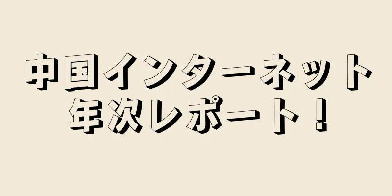 中国インターネット年次レポート！