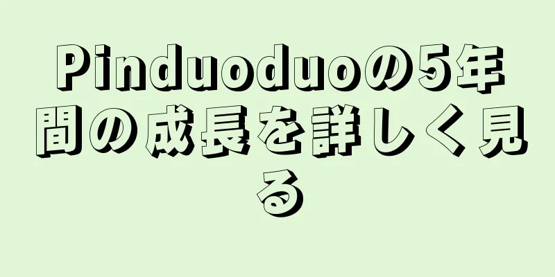 Pinduoduoの5年間の成長を詳しく見る