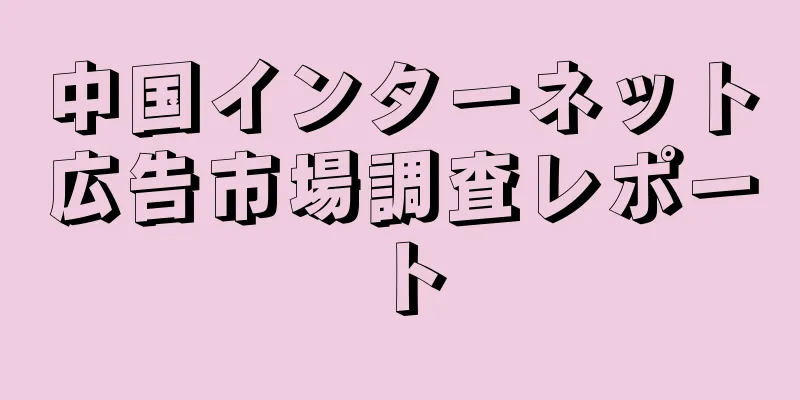 中国インターネット広告市場調査レポート