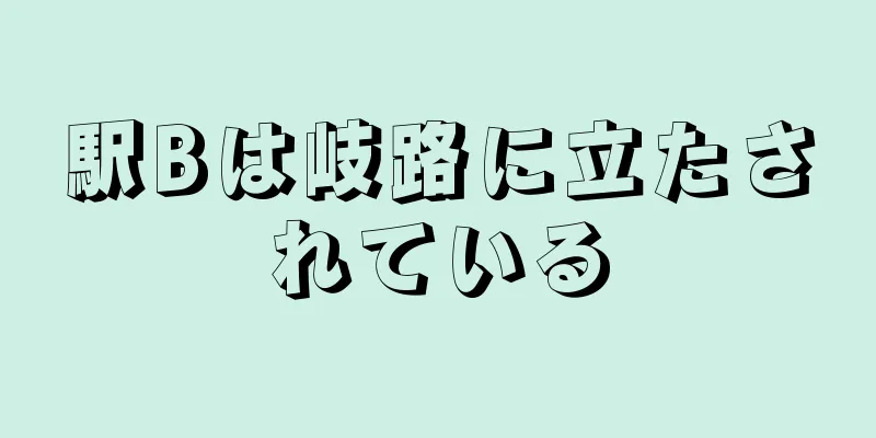 駅Bは岐路に立たされている