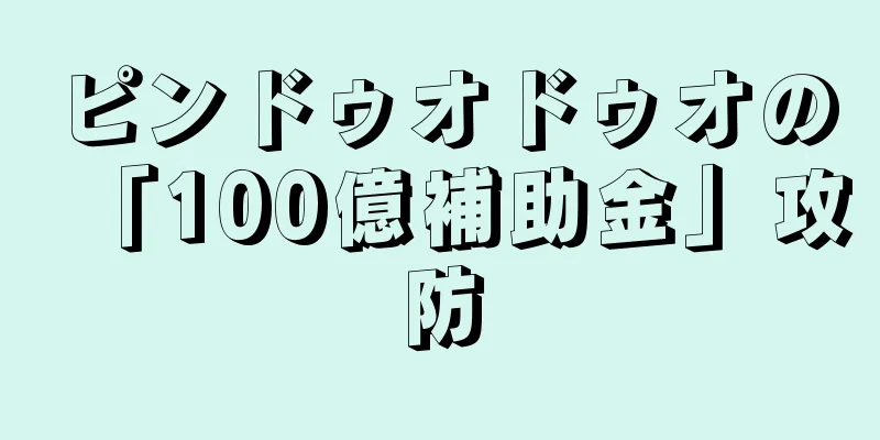 ピンドゥオドゥオの「100億補助金」攻防