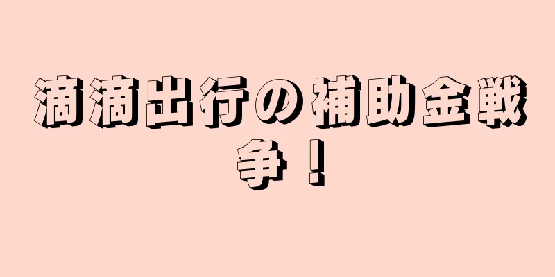 滴滴出行の補助金戦争！