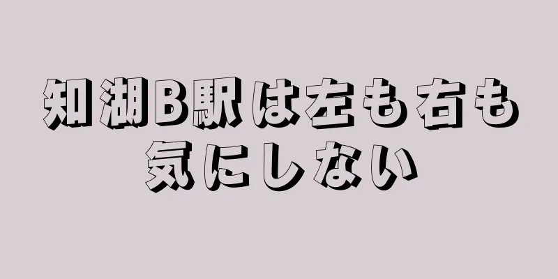 知湖B駅は左も右も気にしない