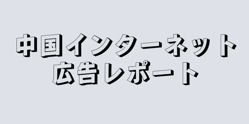 中国インターネット広告レポート