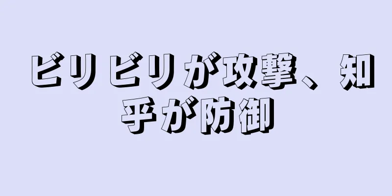 ビリビリが攻撃、知乎が防御