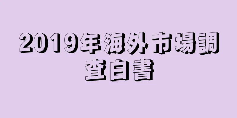 2019年海外市場調査白書