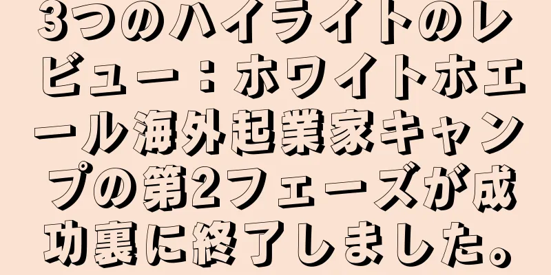 3つのハイライトのレビュー：ホワイトホエール海外起業家キャンプの第2フェーズが成功裏に終了しました。