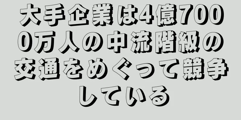 大手企業は4億7000万人の中流階級の交通をめぐって競争している