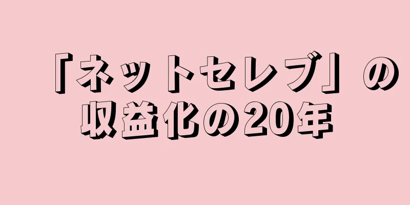 「ネットセレブ」の収益化の20年