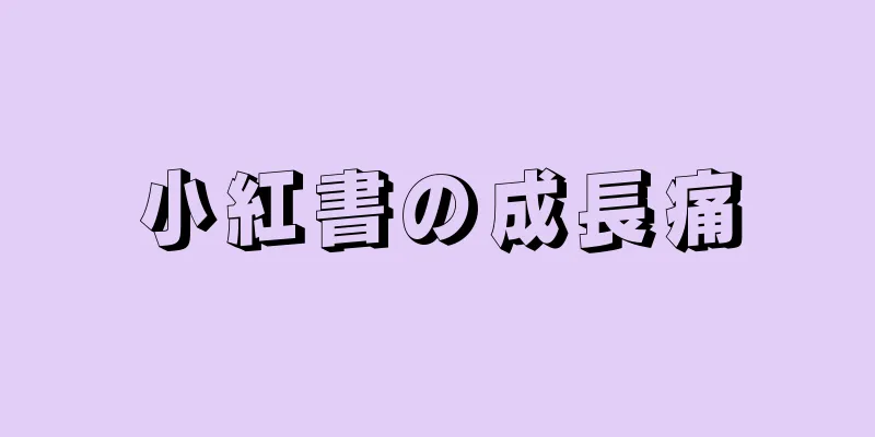 小紅書の成長痛